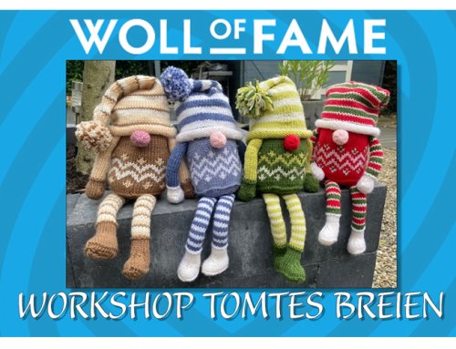 WORKSHOP TOMTE BREIEN OP WOENSDAG 20 NOVEMBER